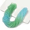 Transparent Painted Glass Beads Strands LS-DGLA-A034-T2mm-A16-1