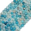 Natural Agate Beads Strands G-J361-01-8mm-2