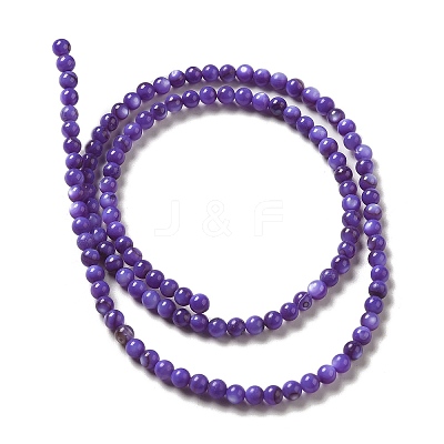 Natural Freshwater Shell Beads Strands SHEL-H003-03B-1