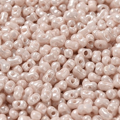 Glass Seed Beads SEED-K009-02A-01-1