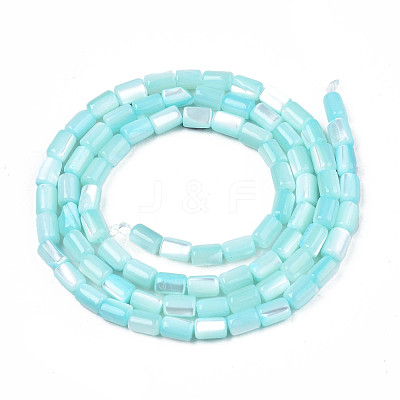 Natural Trochid Shell/Trochus Shell Beads Strands SHEL-N003-26-B09-1