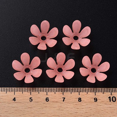 Transparent Acrylic Beads MACR-S373-47-D05-1