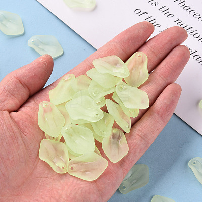 Transparent Frosted Acrylic Pendants MACR-S371-03A-728-1