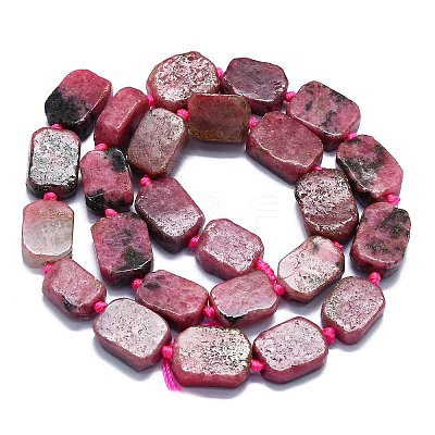 Natural Rhodonite Beads Strands G-K245-J17-01-1