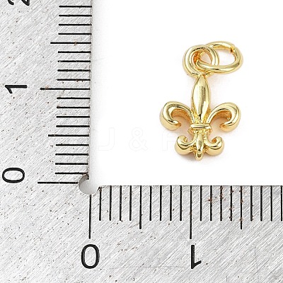 Brass Pendants KK-L231-09G-1