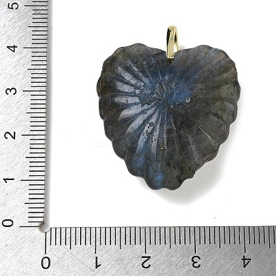 Natural Labradorite Carved Pendants G-C276-01G-10-1