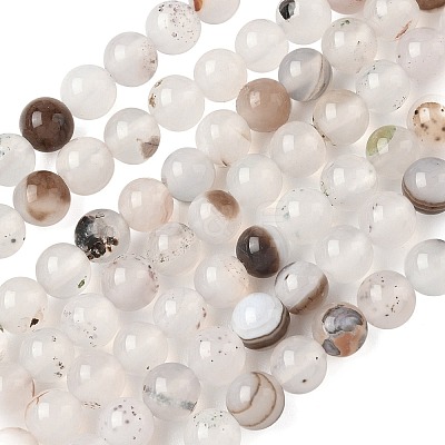 Natural Dendritic Agate Beads Strands G-C011-6mm-01-1