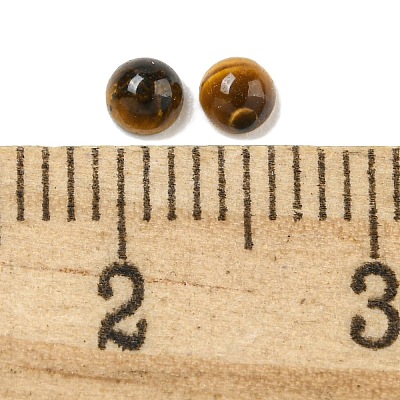 Natural Tiger Eye Cabochons G-Q173-01A-13-1