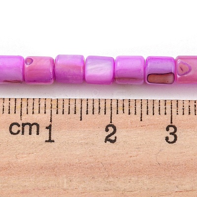 Natural Freshwater Shell Beads Strands SHEL-F008-04B-1