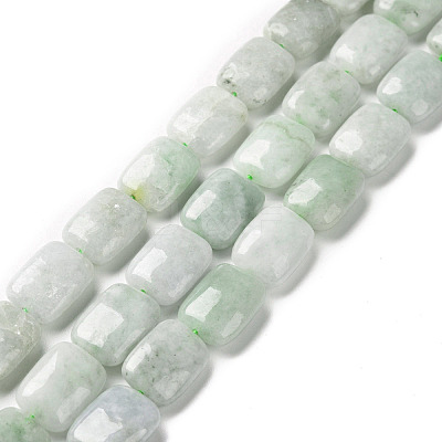 Natural Myanmar Jade/Burmese Jade Beads Strands G-C238-13-1
