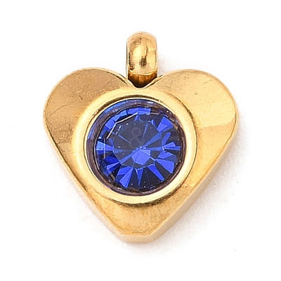 304 Stainless Steel Charms STAS-I165-05G-1