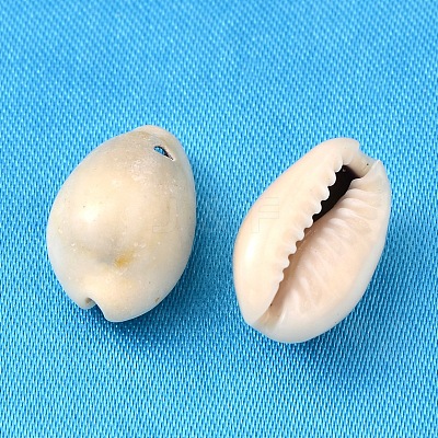 Natural Cowrie Shell Beads X-BSHE-S049-1