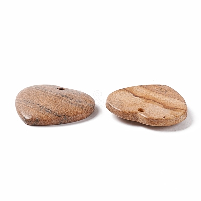 Natural Picture Jasper Pendants G-B030-01A-1