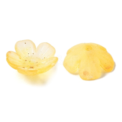 Acrylic Bead Caps OACR-Z028-03D-1
