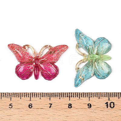 Printed Translucent Acrylic  Pendants OACR-T028-20-1