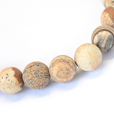 Frosted Natural Picture Jasper Round Bead Strands X-G-E334-8mm-26-1