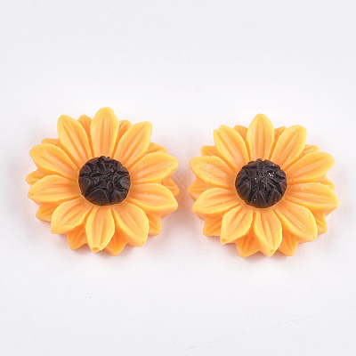 Resin Cabochons CRES-T010-57-1