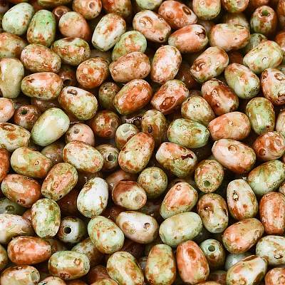 Picasso Glass Seed Beads SEED-N012-10D-1
