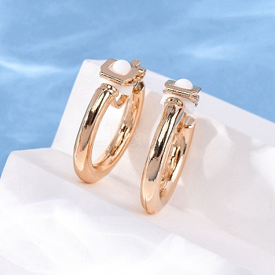 Alloy Silicone Clip-on Earrings EJEW-Z120-01G-02-1