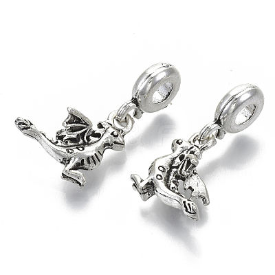 Tibetan Style Alloy European Dangle Charms X-MPDL-N039-011-1