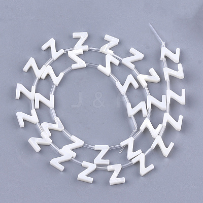 Natural Freshwater Shell Beads X-SHEL-T012-59-1