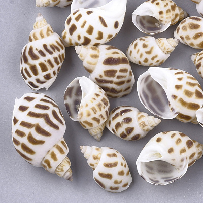 Spiral Shell Beads SSHEL-S258-54-1