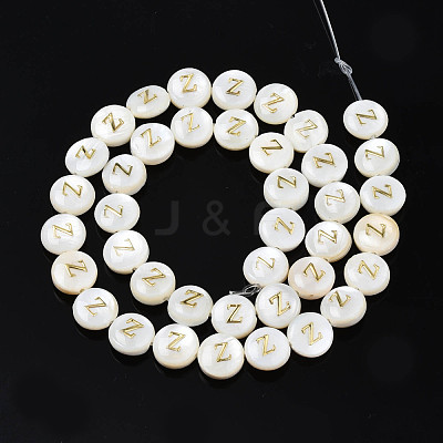 Natural Freshwater Shell Beads SHEL-S276-168-1
