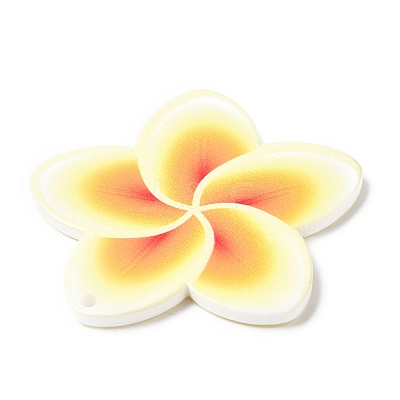 Opaque Acrylic Pendants SACR-P021-02B-1