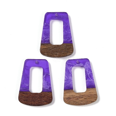 Resin & Wood Pendants WOOD-F015-11H-1