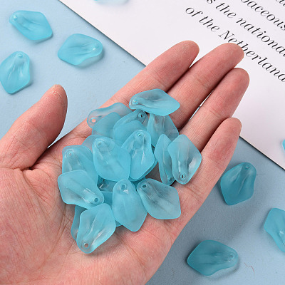 Transparent Frosted Acrylic Pendants MACR-S371-03A-755-1