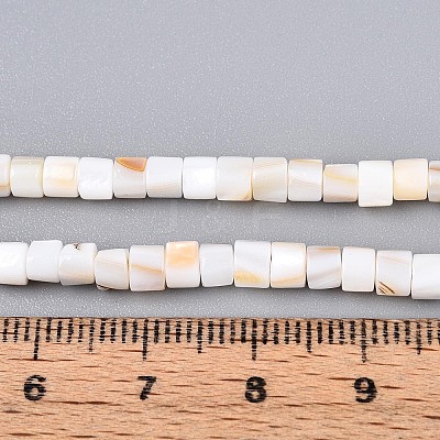 Natural Freshwater Shell Beads Strands SHEL-N027-09A-1