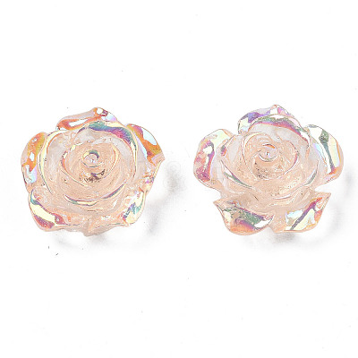 Transparent Resin Cabochons CRES-N030-001B-05-1
