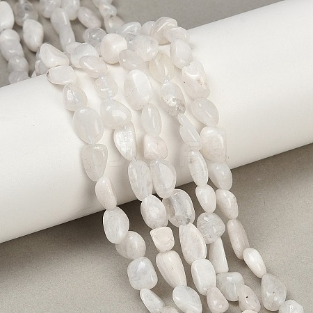 Natural Rainbow Moonstone Beads Strands G-G018-48-01-1