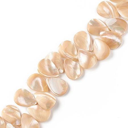 Natural Trochid Shell/Trochus Shell Beads SSHEL-T012-17-1