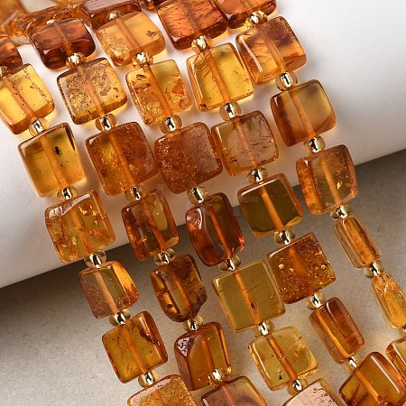 Natural Amber Beads Strands G-C260-A01-06-1