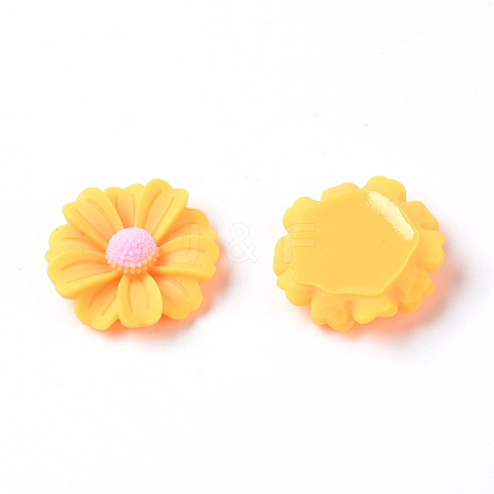 Resin Cabochons LS-RESI-TAC0006-02C-02-1