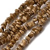 Natural Freshwater Shell Beads SHEL-B003-01D-1