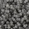 Transparent Colours Glass Seed Beads SEED-R001-01L-2