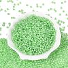 FGB Glass Seed Beads SEED-Q040-08A-09-2