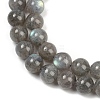 Natural Labradorite Beads Strands G-G448-8mm-04A-3