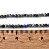 Natural Lapis Lazuli Beads Strands G-L629-B01-2mm-03-5
