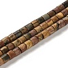 Natural Picasso Stone/Picasso Jasper Beads Strands G-F765-F02-01-1