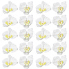 Cloth Imitation Phalaenopsis Amabilis DIY-WH20002-197-1