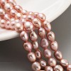 Natural Cultured Freshwater Pearl Beads Strands PEAR-P062-29G-2