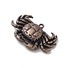 Tibetan style Alloy Pendants FIND-M021-18R-2