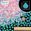 2000Pcs UV Plating Resin Charms RESI-NB0002-17C-2
