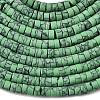 Dyed Synthetic Turquoise Beads Strands G-Z089-A04-J-5