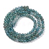 Natural Apatite Beads Strands G-F748-J01-02A-5