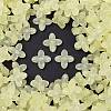 Frosted Transparent Acrylic Beads OACR-P029-09B-03-1