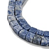 Natural Blue Spot Jasper Beads Strands G-I326-01B-01-3